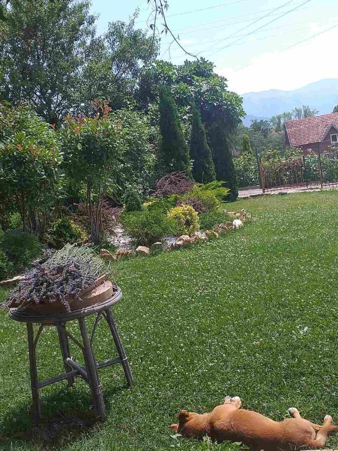 Villa Silva Ohrid Eksteriør billede
