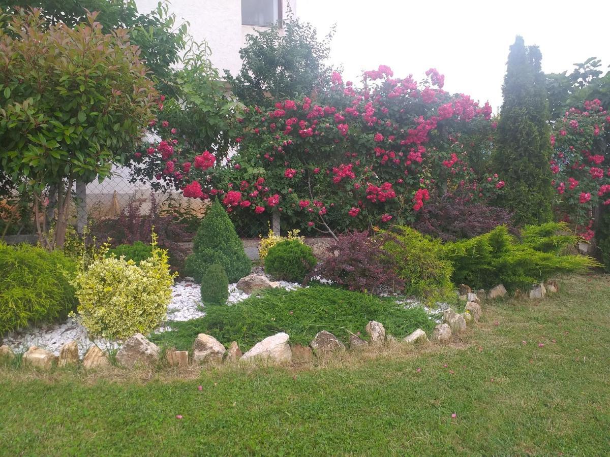 Villa Silva Ohrid Eksteriør billede