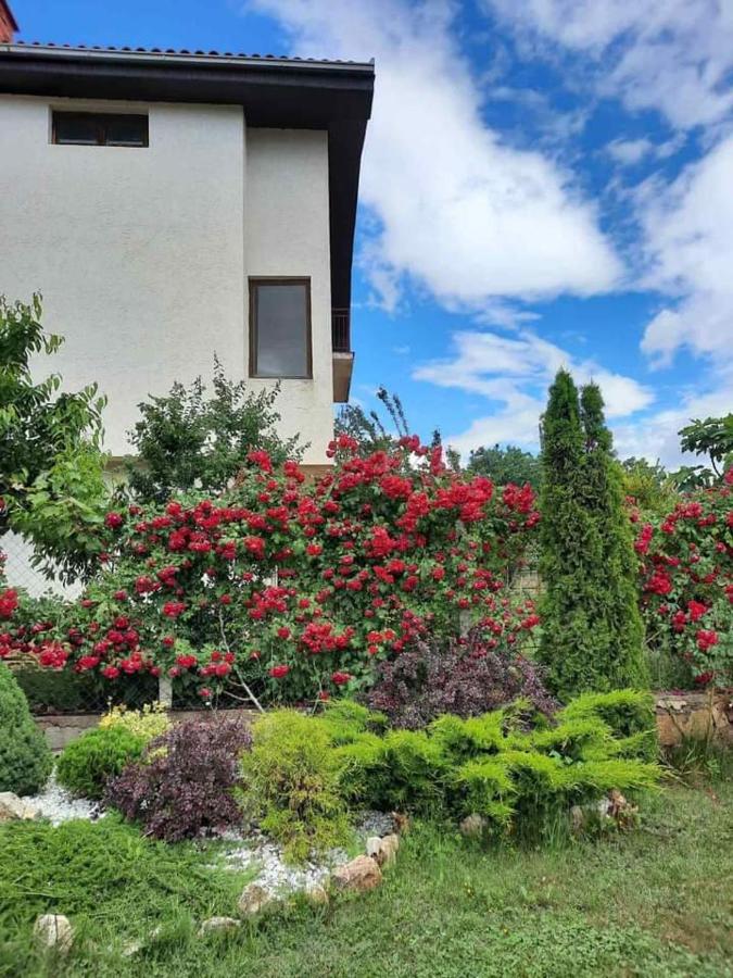 Villa Silva Ohrid Eksteriør billede